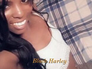 Black_Harley