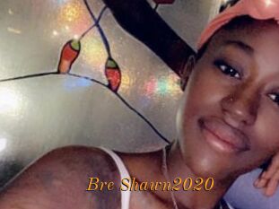 Bre_Shawn2020