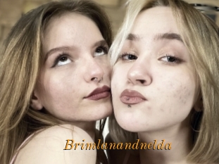 Brimlanandnelda