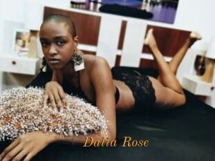 Dalia_Rose