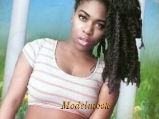 Modelmook