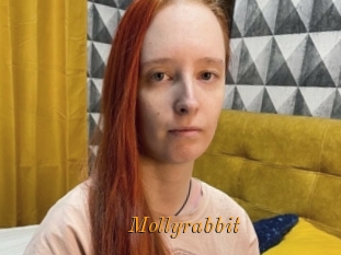 Mollyrabbit