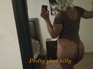 Pretty_phat_kitty