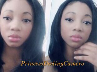 PrincessDestinyCamero