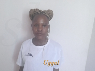 Uggal