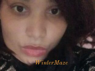 Winter_Maze