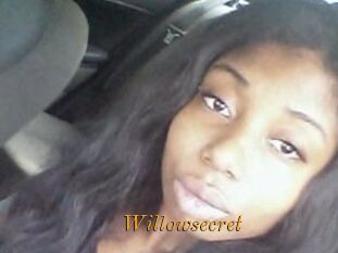 Willow_secret