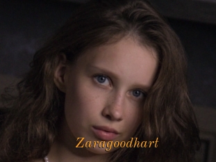 Zaragoodhart